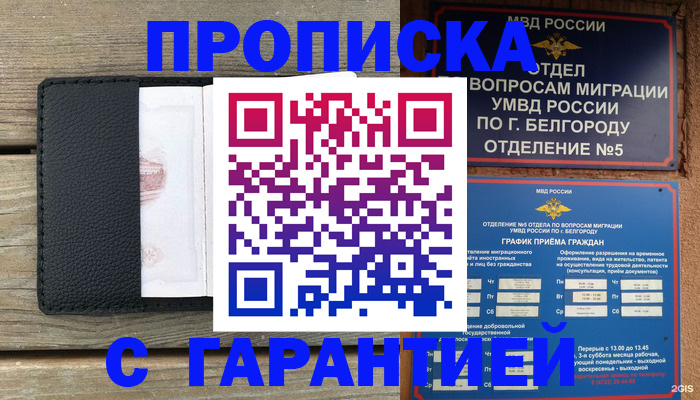 временная регистрация для всех в Мончегорске